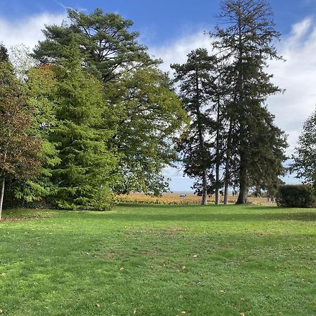 Manoir De Villamont Savigny-lès-Beaune Zewnętrze zdjęcie
